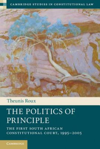 Kniha Politics of Principle Theunis Roux