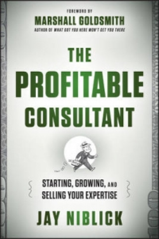 Buch Profitable Consultant J Niblick