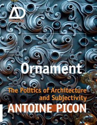 Kniha Ornament - The Politics of Architecture and Subjectivity - AD Primer Antoine Picon