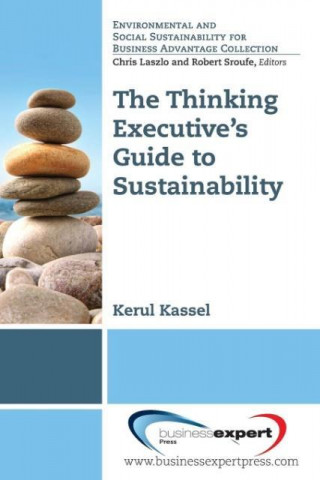 Kniha Applying Systems Thinking to Understanding Sustainable Busin Kerul Kassel