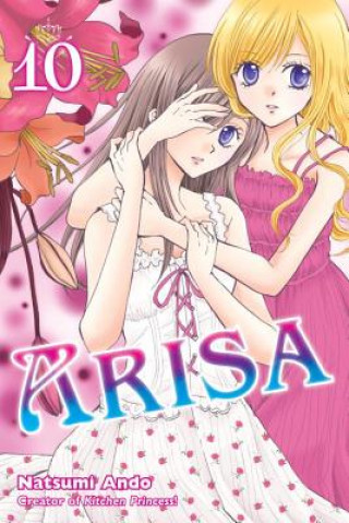 Libro Arisa Vol. 10 Natsumi Ando