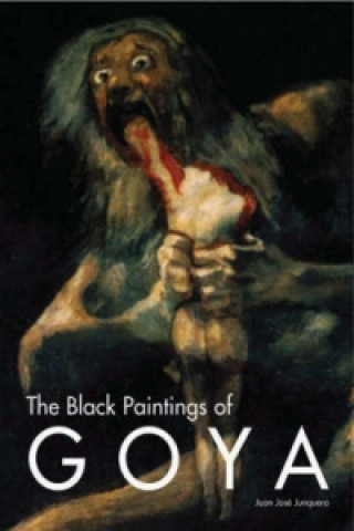 Könyv Black Paintings of Goya Juan Jose Junquera