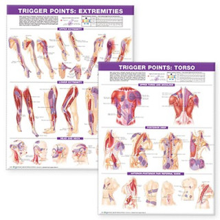 Carte Trigger Point Chart Set: Torso & Extremities  Lam 