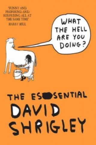 Könyv What The Hell Are You Doing?: The Essential David Shrigley David Shrigley