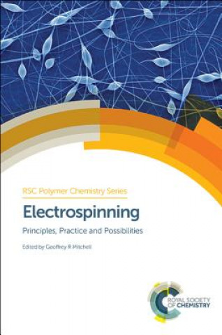 Kniha Electrospinning Geoffrey Mitchell