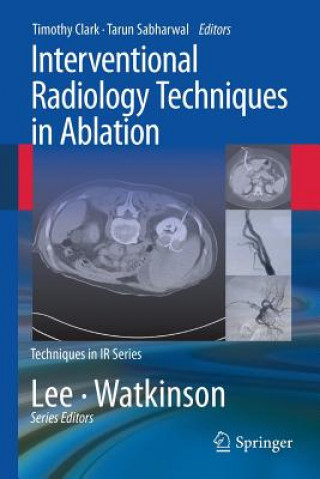Kniha Interventional Radiology Techniques in Ablation Clark