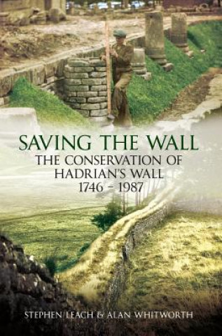 Книга Saving the Wall Stephen Leach