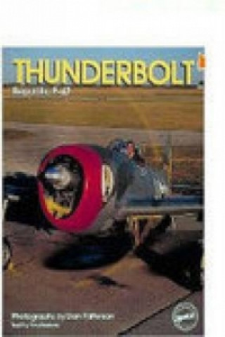 Buch Thunderbolt Paul Perkins