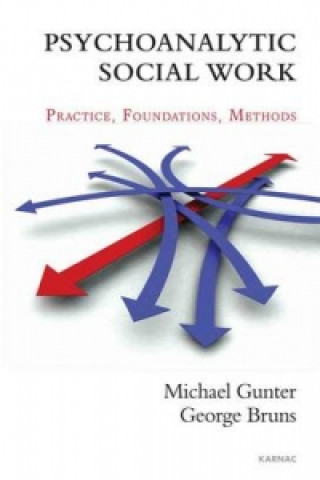 Książka Psychoanalytic Social Work Michael Gunter