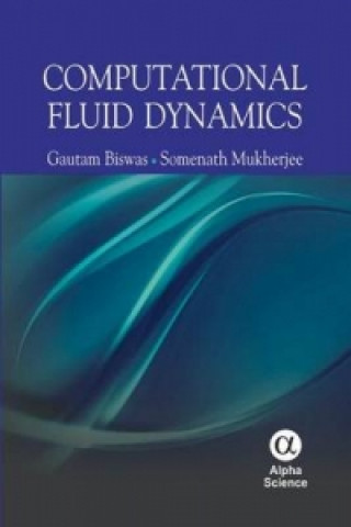 Kniha Computational Fluid Dynamics Gautam Biswas