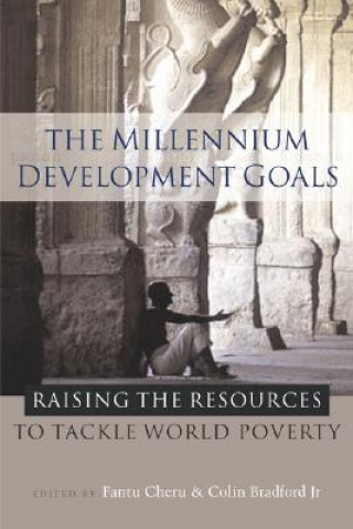 Książka Millennium Development Goals Colin I Bradford