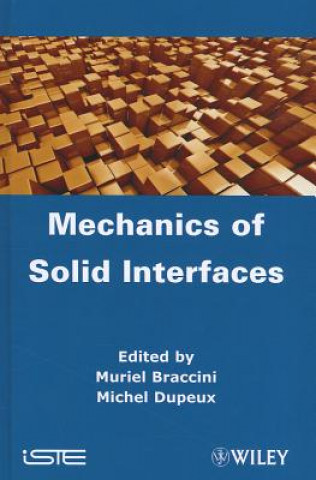 Könyv Mechanics of Solid Interfaces M Dupeux