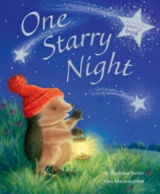 Könyv One Starry Night M Christina Butler