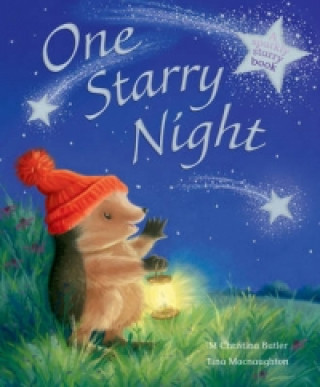 Carte One Starry Night M Christina Butler