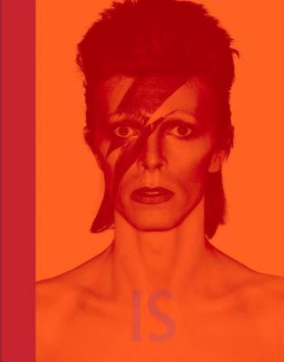 Knjiga David Bowie Is Victoria Broackes
