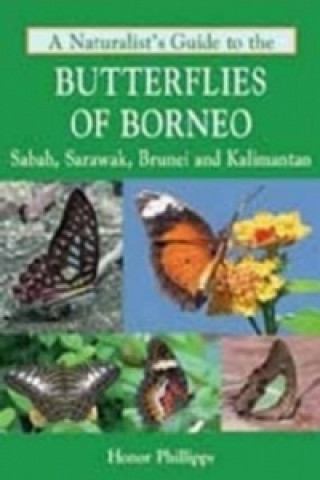 Könyv Naturalist's Guide to the Butterflies of Borneo Honor Phillipps