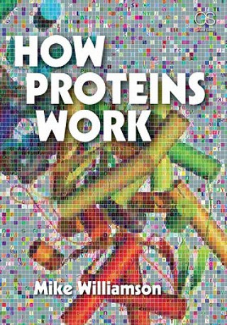 Kniha How Proteins Work Mike Williamson