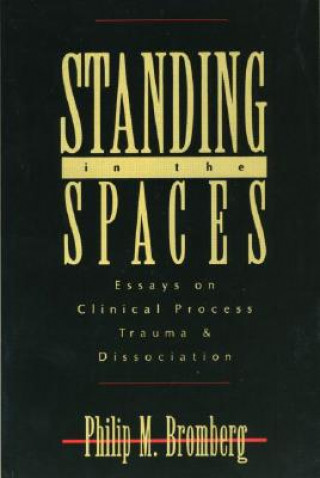 Kniha Standing in the Spaces Philip M Bromberg