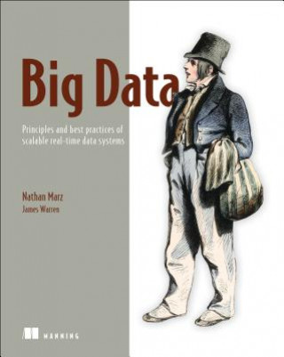 Kniha Big Data:Principles and best practices of scalable realtime data systems Nathan Marz