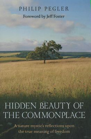 Kniha Hidden Beauty of the Commonplace Philip Pegler