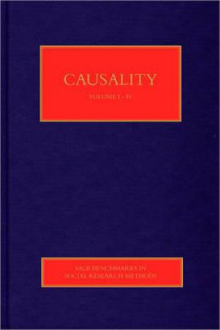 Книга Causality Stephen Turner