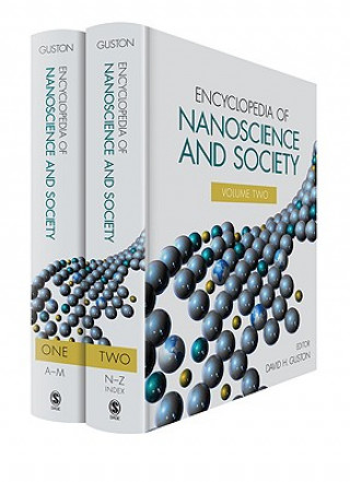 Book Encyclopedia of Nanoscience and Society David H Guston