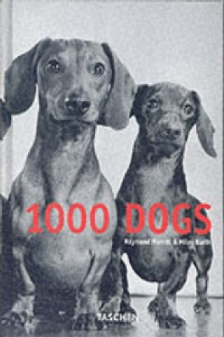Carte 1000 Dogs 