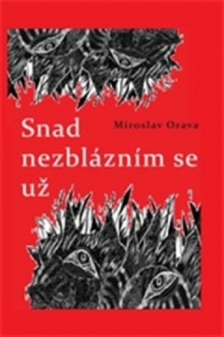Könyv Snad nezblázním se už Miroslav Orava