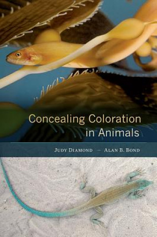 Könyv Concealing Coloration in Animals Judy Diamond