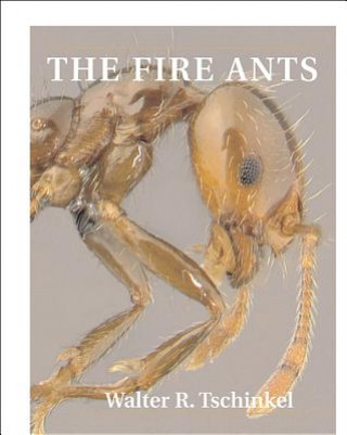 Book Fire Ants Walter Tschinkel