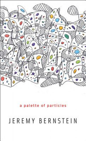 Knjiga Palette of Particles Jeremy Berstien