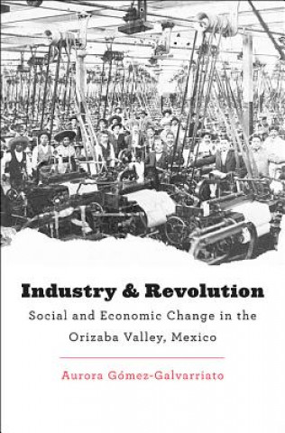 Kniha Industry and Revolution Aurora Gomez-Galvarriato