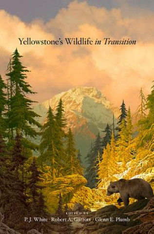 Könyv Yellowstone's Wildlife in Transition PJ White