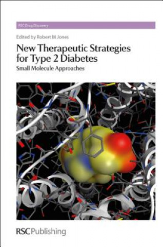 Livre New Therapeutic Strategies for Type 2 Diabetes Rob M. Jones