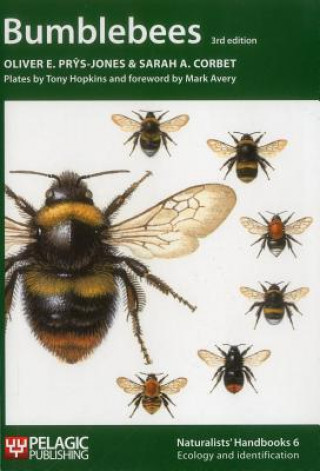 Книга Bumblebees Oliver E Prys Jones