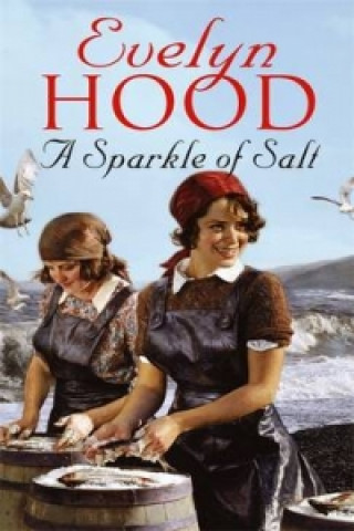 Könyv Sparkle Of Salt Evelyn Hood