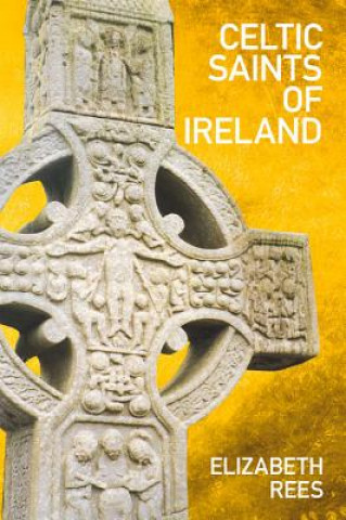 Carte Celtic Saints of Ireland Elizabeth Rees