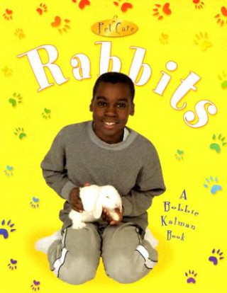 Könyv Rabbits Kelley MacAuley
