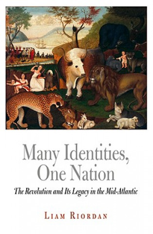 Knjiga Many Identities, One Nation Liam Riordan