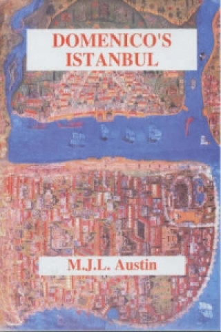 Buch Domenico's Istanbul Domenico