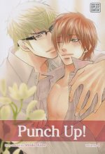 Könyv Punch Up!, Vol. 4 Shiuko Kano