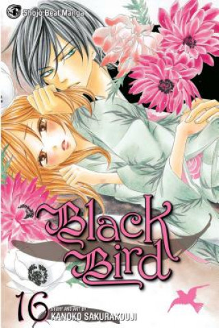 Kniha Black Bird, Vol. 16 Kanoko Sakurakoji