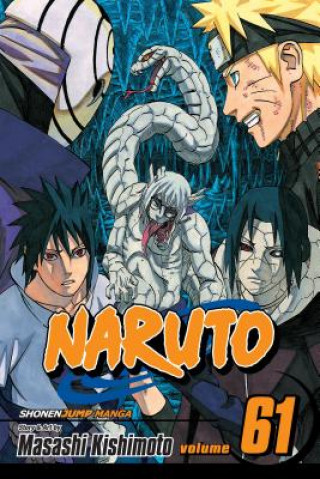 Książka Naruto, Vol. 61 Masashi Kishimoto