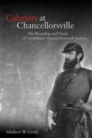 Könyv Calamity at Chancellorsville Mathew Lively