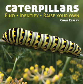 Książka Caterpillars Chris Earley