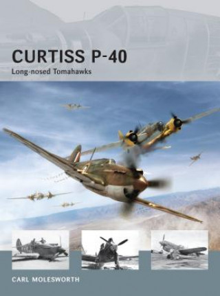 Kniha Curtiss P-40 Carl Molesworth
