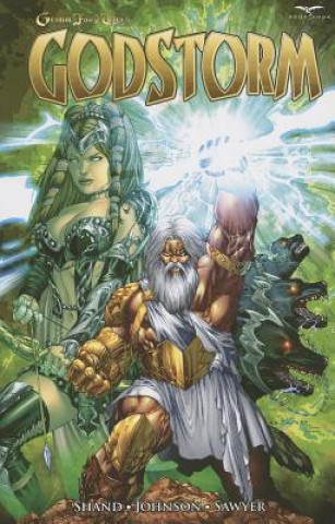 Knjiga Grimm Fairy Tales Presents: Godstorm Patrick Shand