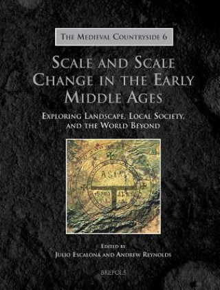 Книга Scale and Scale Change in the Early Middle Ages Julio Escalona