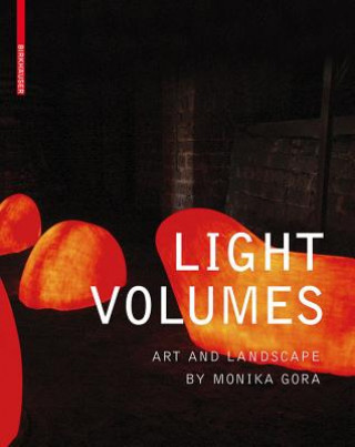 Βιβλίο Light Volumes Lisa Diedrich