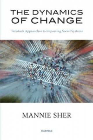 Kniha Dynamics of Change Mannie Sher